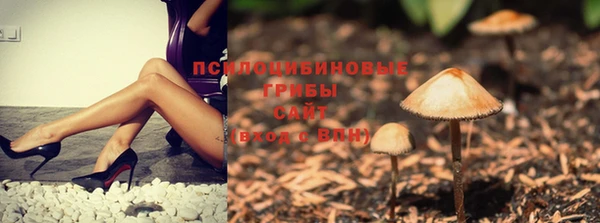 крисы Балахна