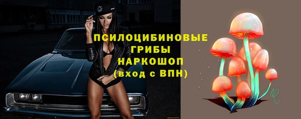 крисы Балахна