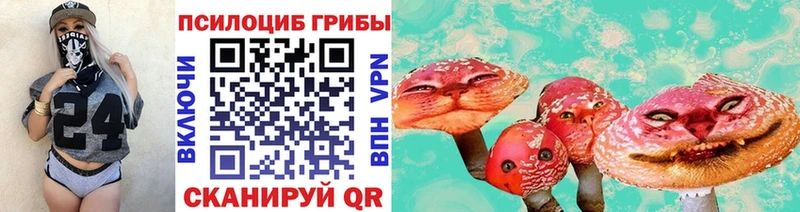 Купить где  Кисловодск  Псилоцибиновые грибы MAGIC MUSHROOMS 